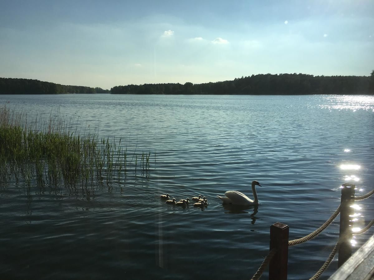 Ботели Houseboat Ślesin Слесин-44